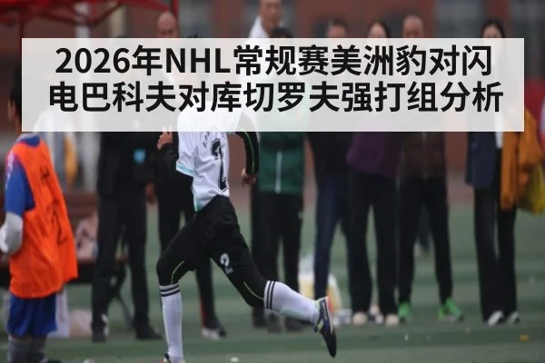 2026年NHL常规赛美洲豹对闪电巴科夫对库切罗夫强打组分析